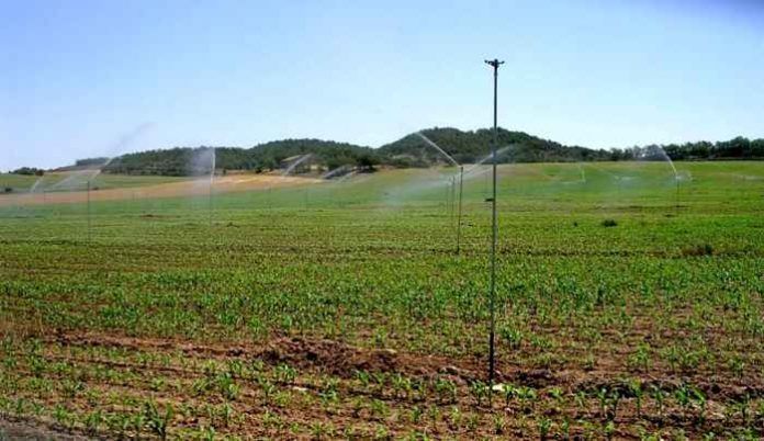 segarra-garrigues