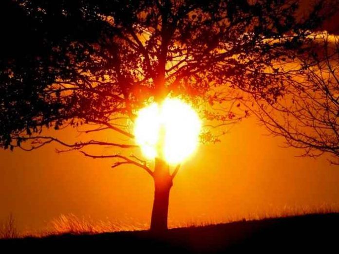 calor