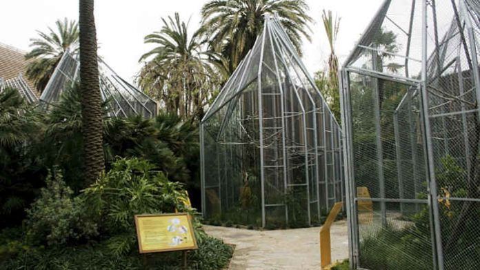 zoo bcn