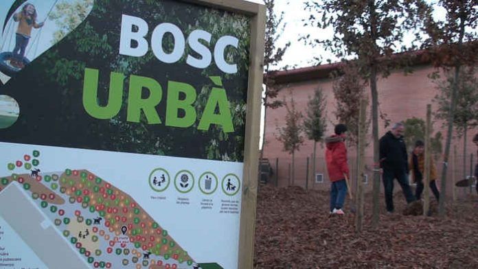 Bosc urbà