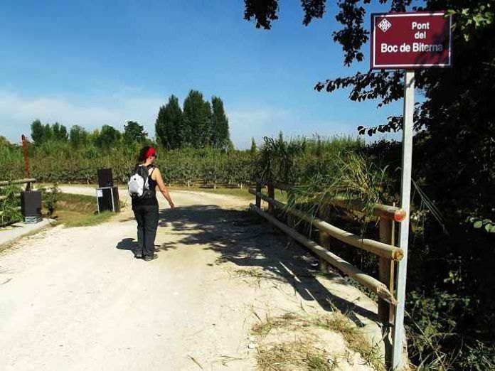 sot de fontanet