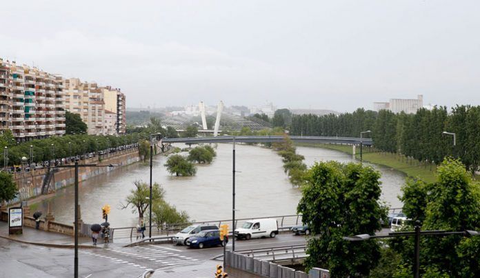 segre