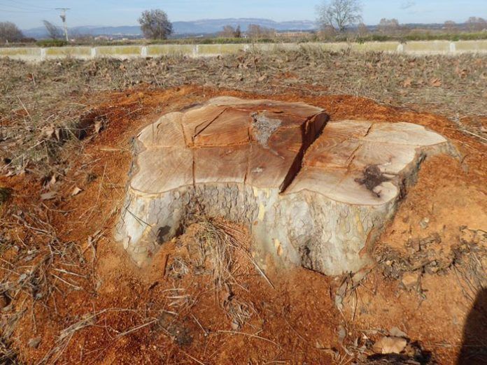 canal