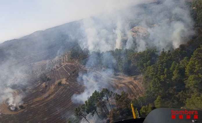 foc