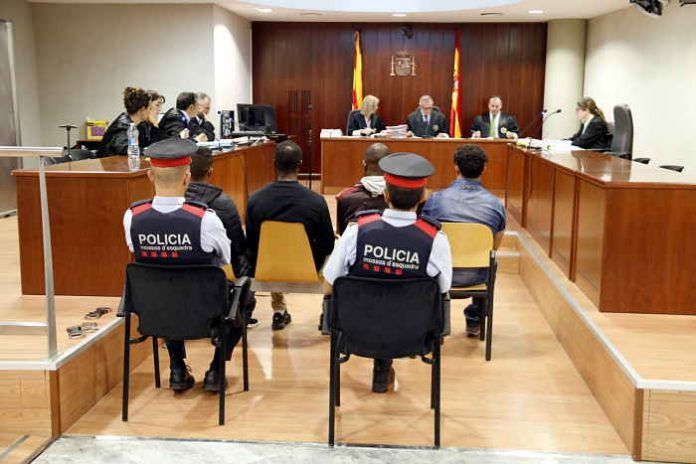 falsificacio