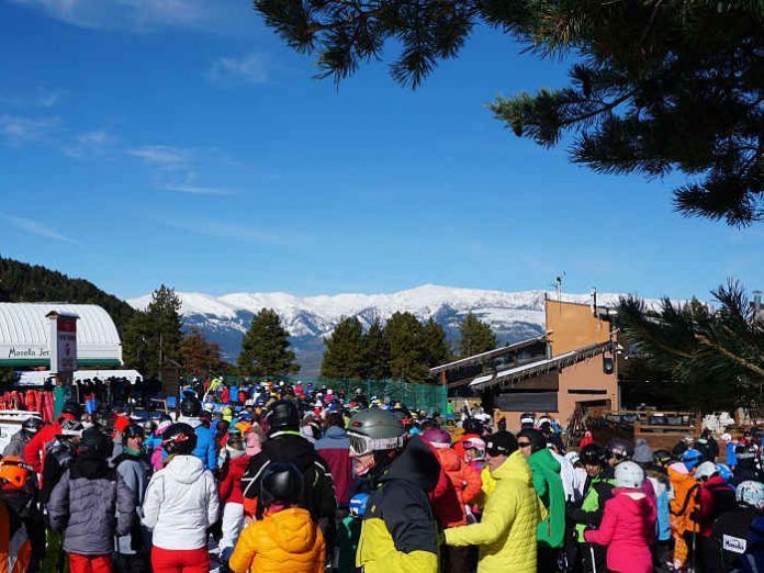 Masella
