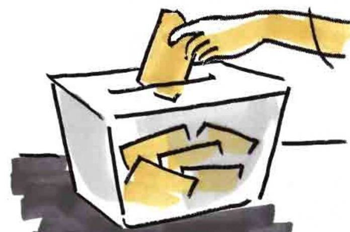 votacions vot