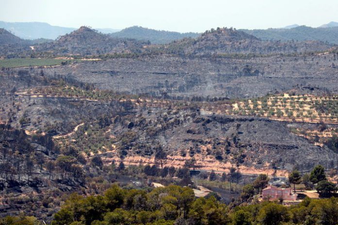Bovera
