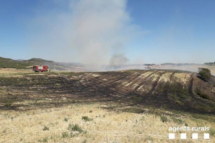 incendi noguera
