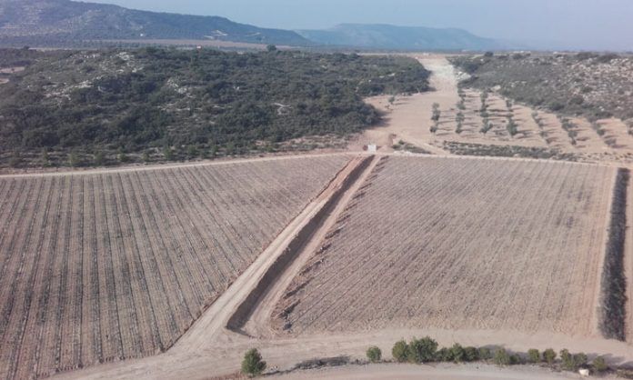 agricultura