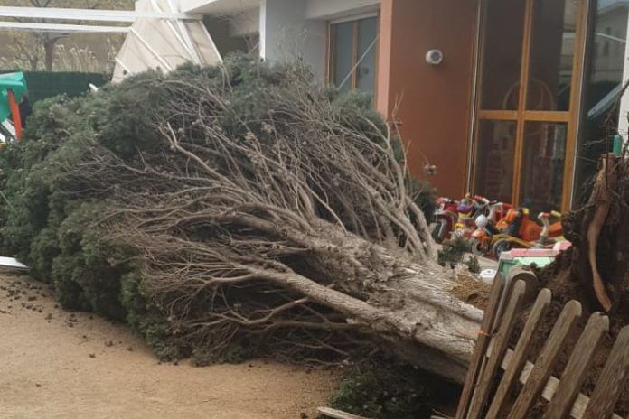 temporal