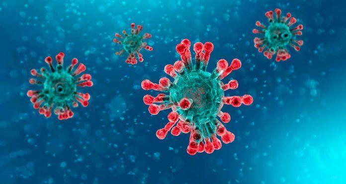 coronavirus