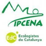 En veu alta perquè s’escolti, implorem la mort de l’ós Cachou Ipcena - Ecologistes de Catalunya