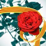Sant Jordi, la princesa, el drac i el coronavirus