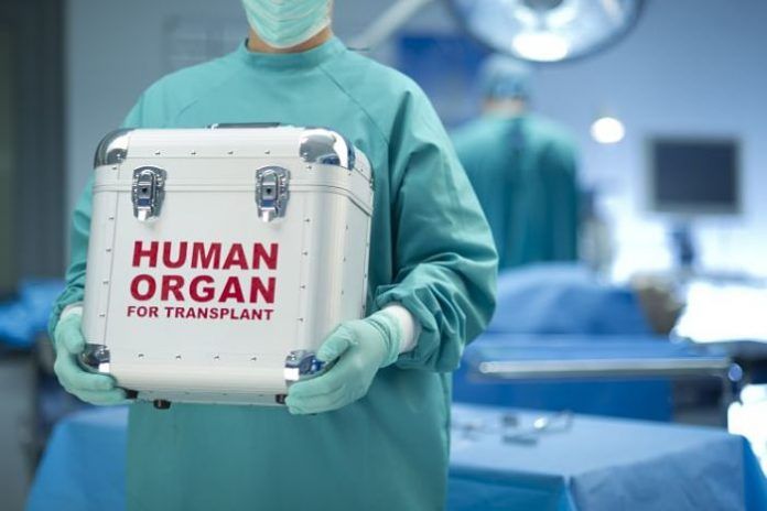 transplantaments