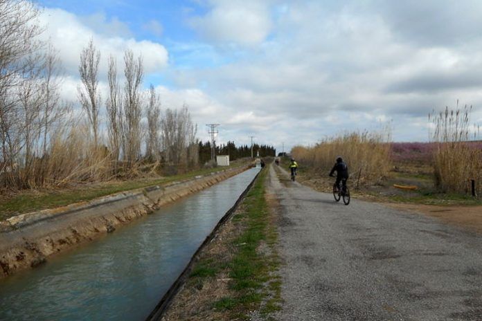 camins