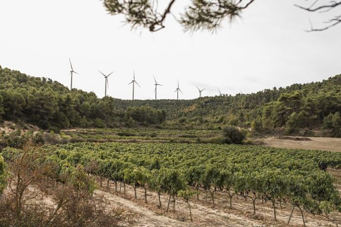 Eoliques Solars costers