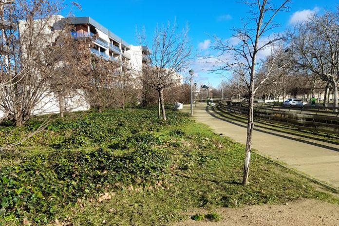 jardins