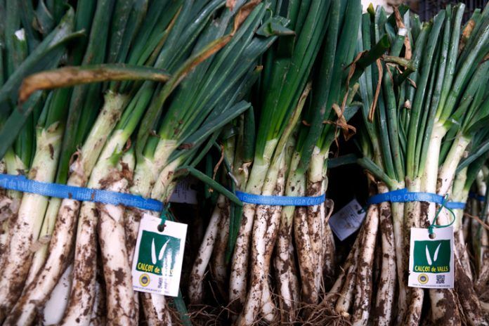 calçots