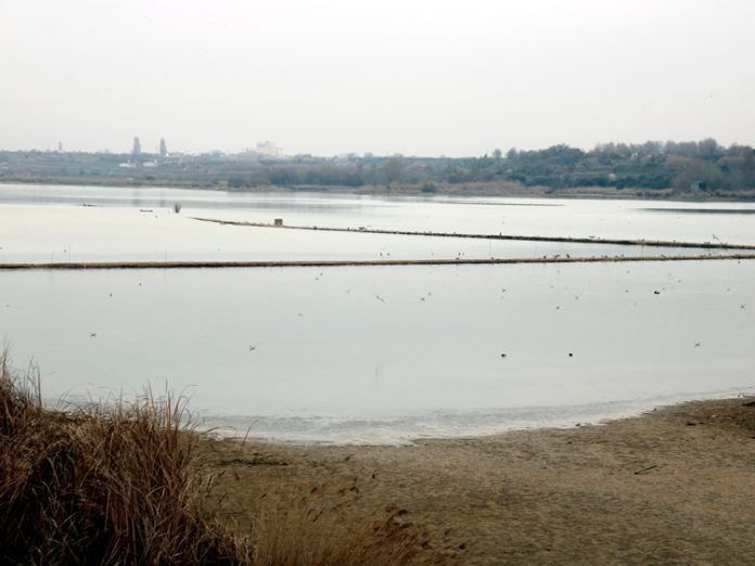 estany estany
