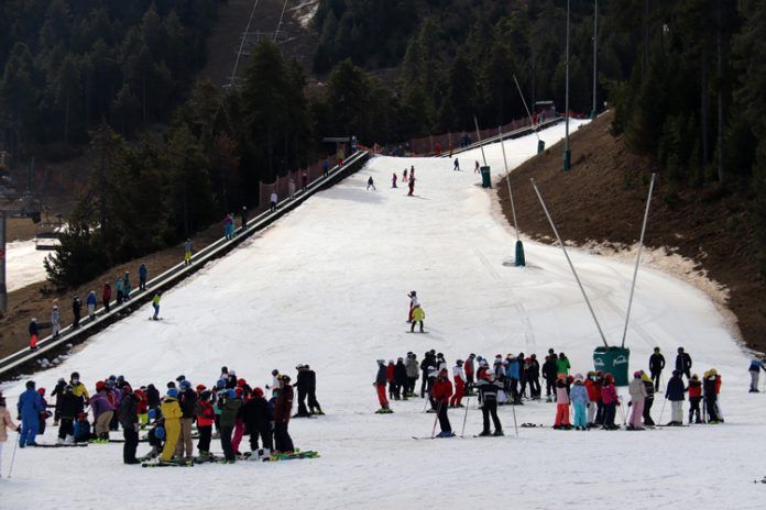 Masella