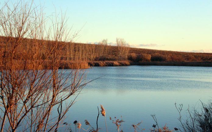 Alcarràs natura