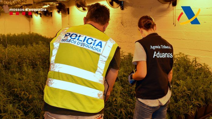 cocaina