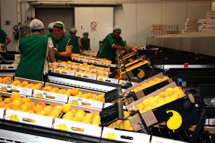agricultura atur