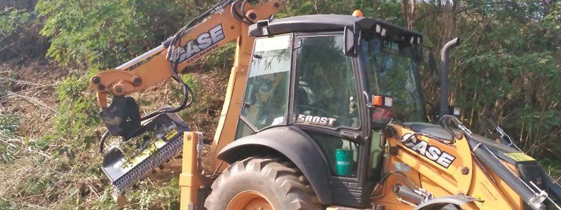 maquinaria forestal de Belafer