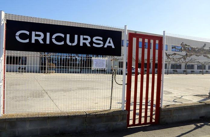 plantilla Cricursa