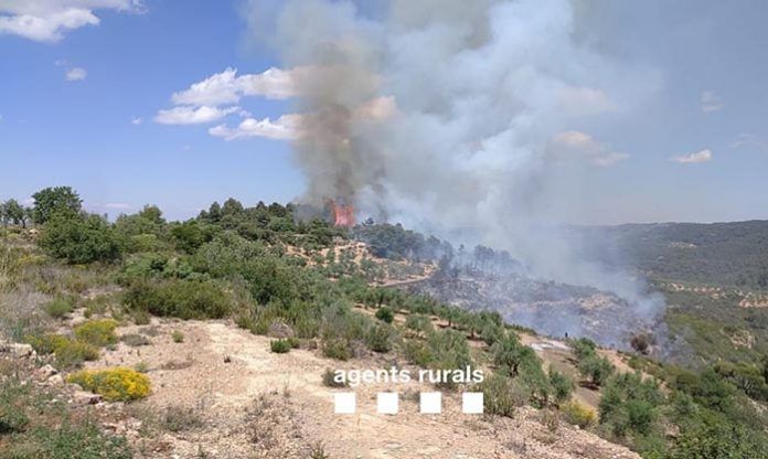 incendi juncosa