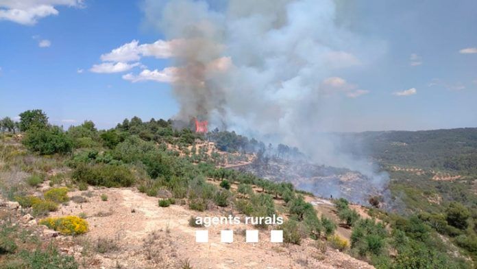 l'incendi
