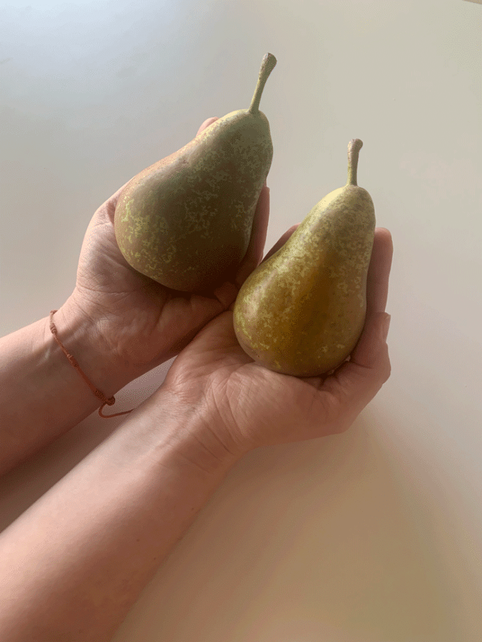 fruita