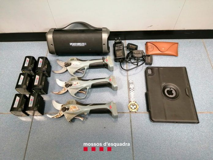 mossos