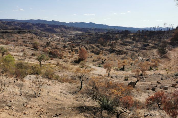 incendis