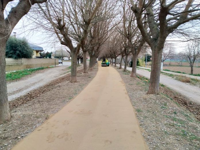 camí camí