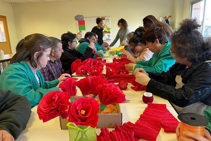 Torxa roses