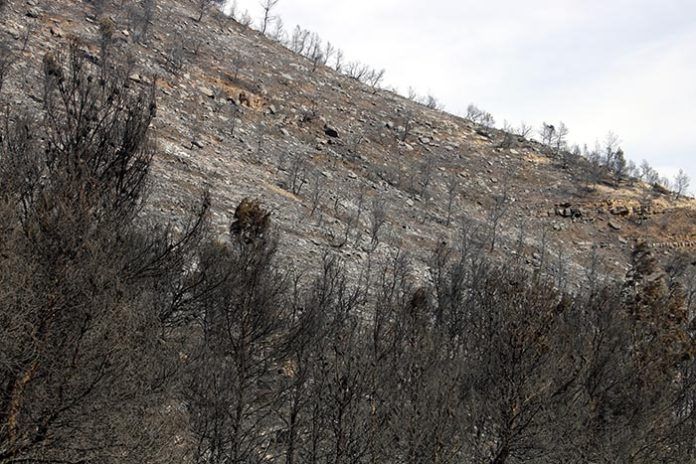 binary comment incendis