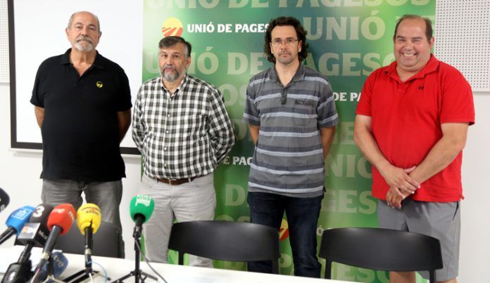 sequera sequera