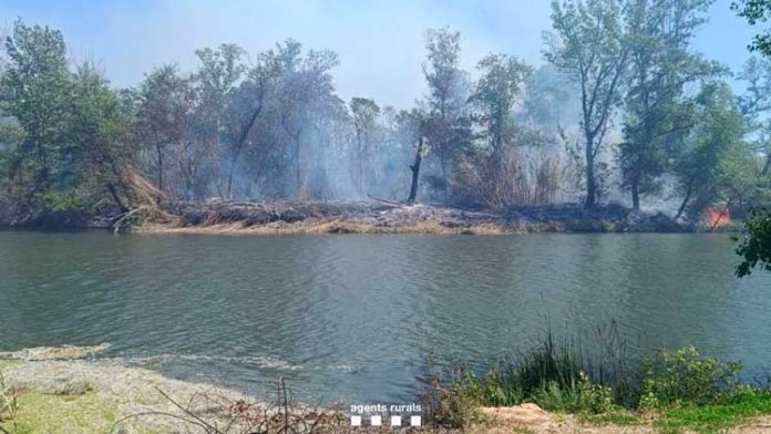 incendi-la-mitjana