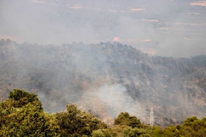incendi-artesa-segre