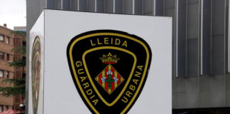 Detingut a Lleida un home acusat de maltractar “greument” el seu cadell de tres mesos