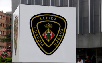 Detingut a Lleida un home acusat de maltractar “greument” el seu cadell de tres mesos