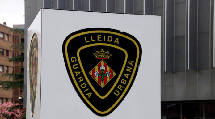 Detingut a Lleida un home acusat de maltractar “greument” el seu cadell de tres mesos