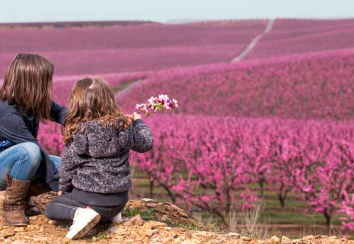 turisme-lleida-floració