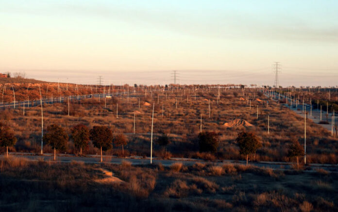 zona-torresalses