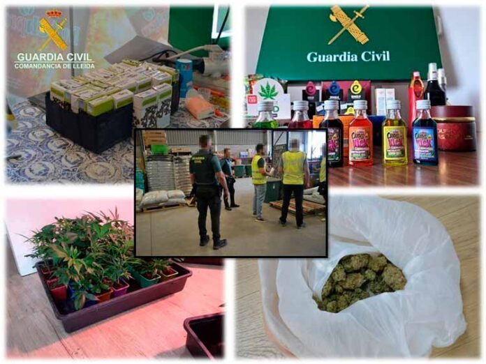 guardia-civil-marihuana