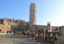 La Marató 2025 recapta més de 9,7 milions d’euros per a la recerca sobre el càncer