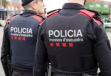 Els Mossos detenen dues persones per quatre robatoris en explotacions agrícoles de Ponent