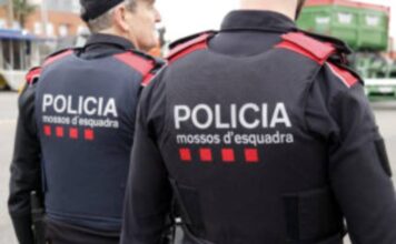 Els Mossos detenen dues persones per quatre robatoris en explotacions agrícoles de Ponent